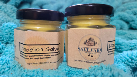 Dandelion Salve