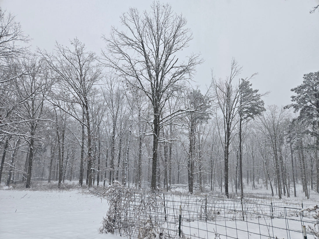 Winter......